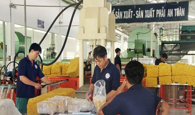 huấn luyện chế biến mũ cao su