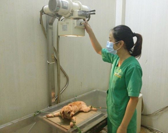 công việc tiếp xúc bức xạ trong y tế
